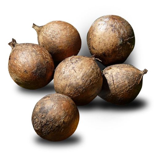 風天然-初榨瓊海棠籽油-Tamanu oil
